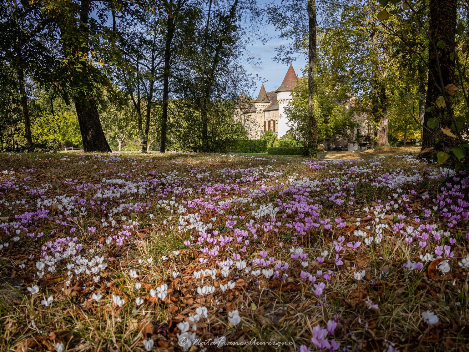 Château d'Aulteribe oct 2023 by @NataFranceAuvergne-7798